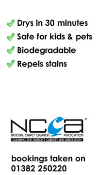 carpet cleaners Dundee