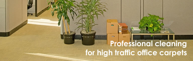 office carpet cleaners dundee