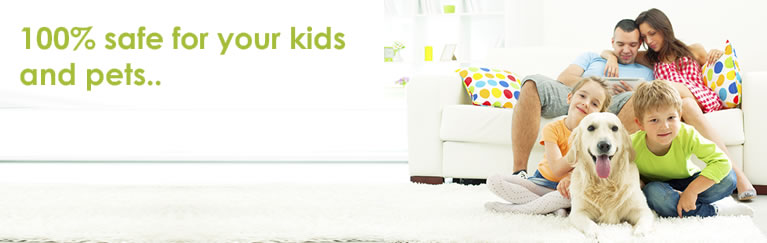 house carpet cleaners dundee